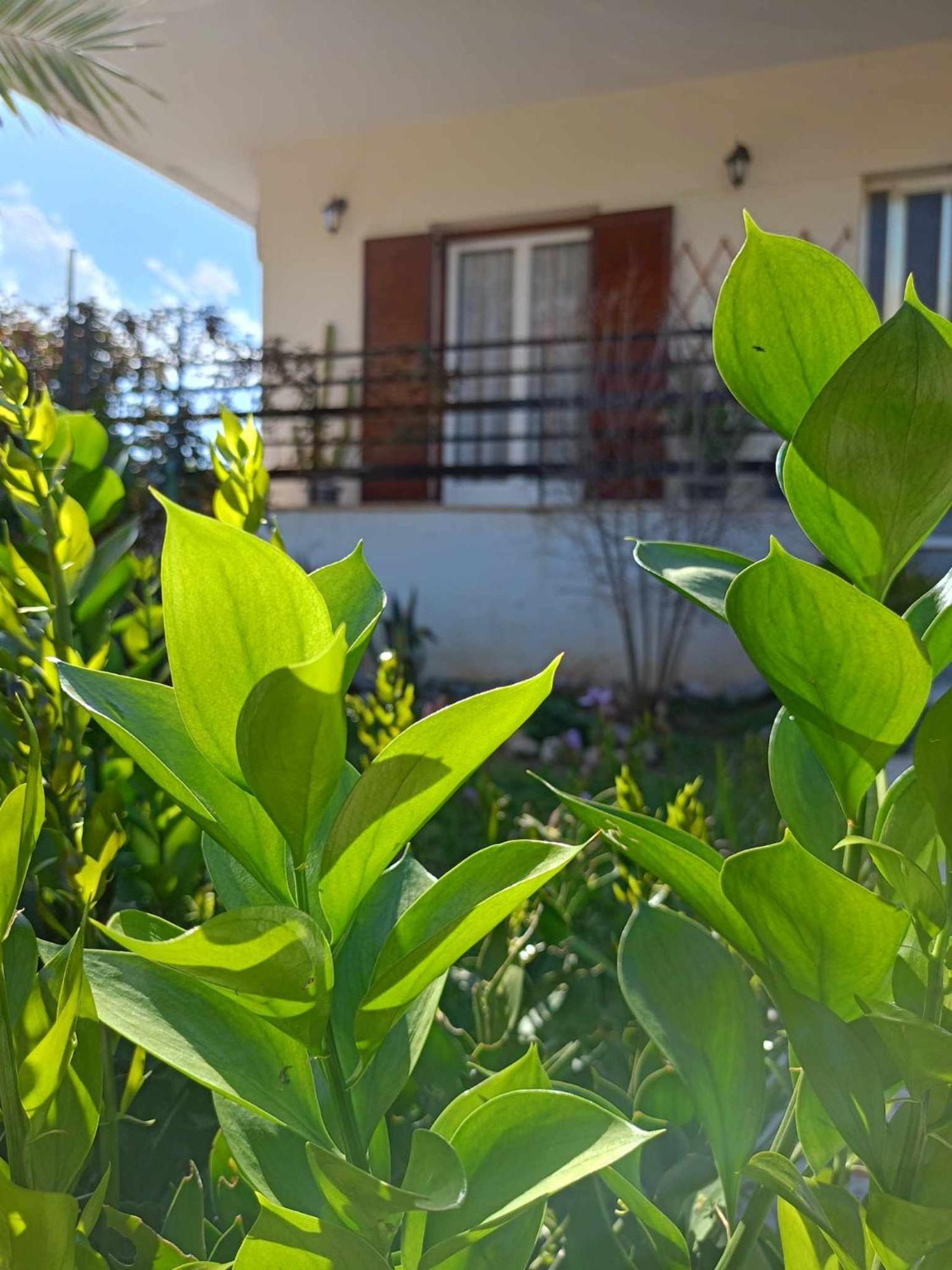 Serene Country House Ναύπλιο Εξωτερικό φωτογραφία